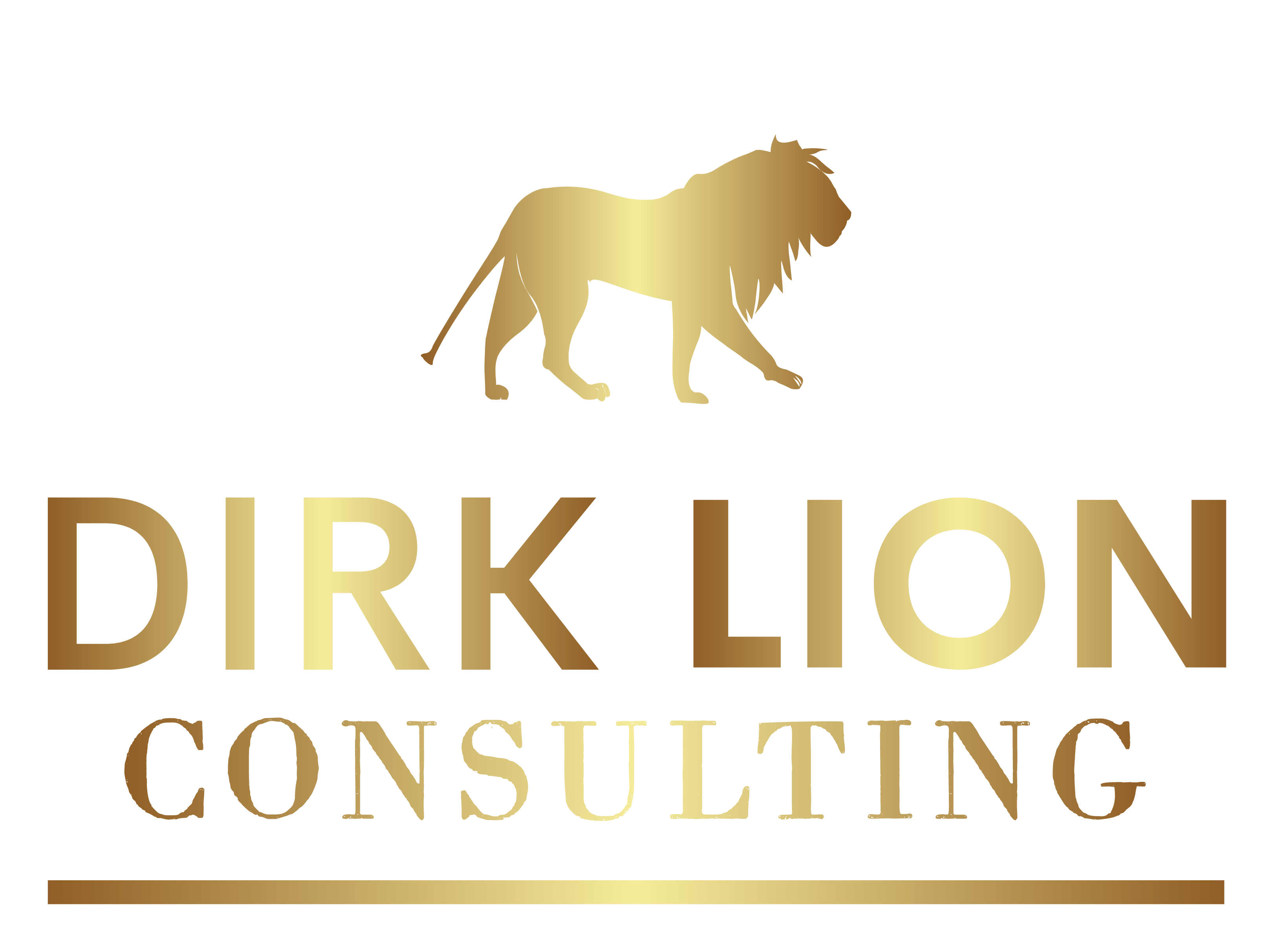 Dirk Lion Consulting